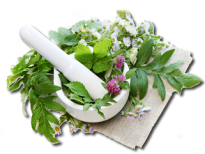 STRESS/ANXIETY SUPPLEMENTS